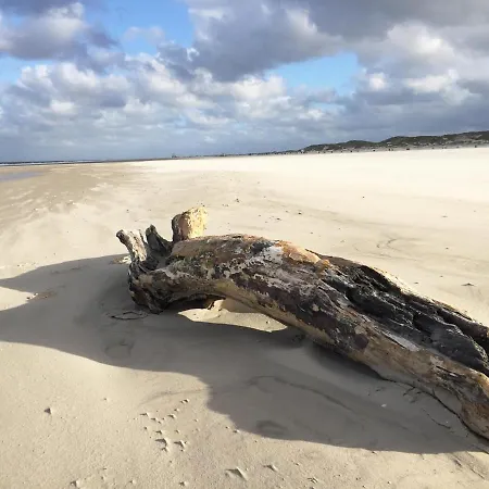 *inselnest Am Meer* *