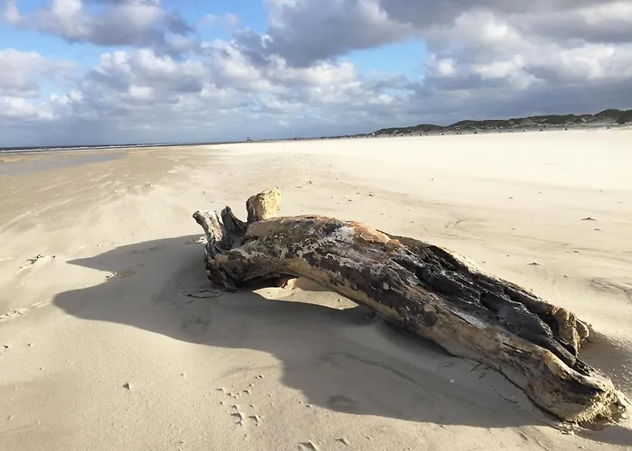 *inselnest Am Meer* *